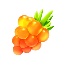 Pokemon Go Orange Raspberry 首頁—Pokémon GO Web Store